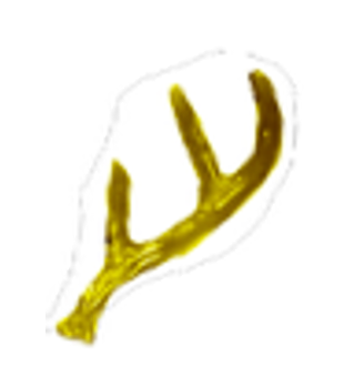 Small Golden Deer Antler Hat Stud