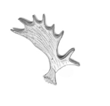 Silver Moose Antler Paddle