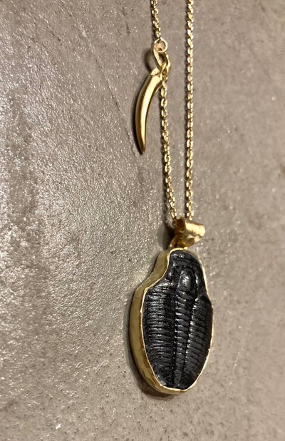 Fossil Triolobite Necklace black