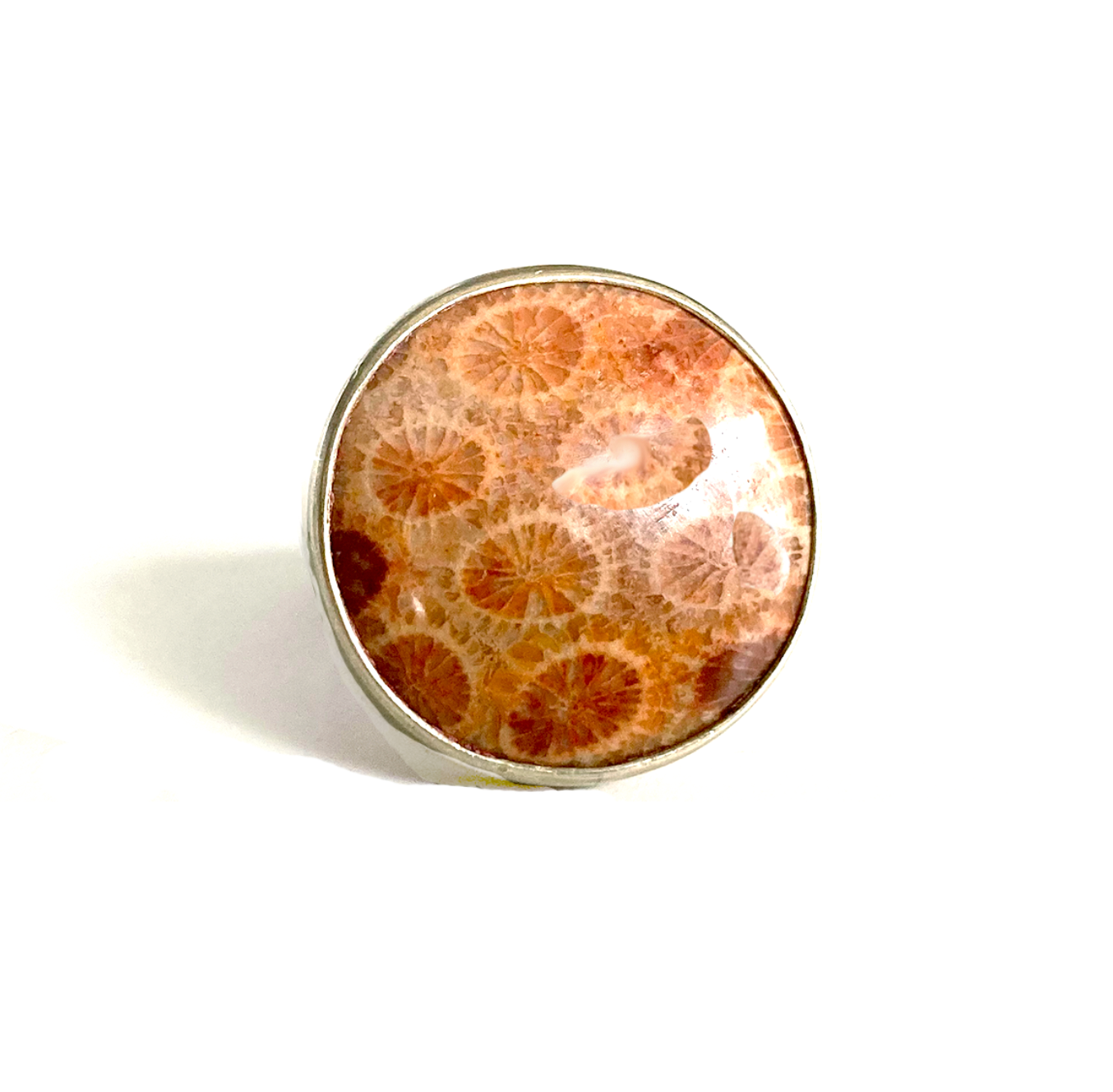 Fossilized Coral ring