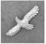 Medium Silver Bird of Prey Hat Stud